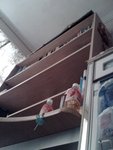 IMG0540A