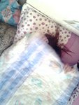 IMG0545A