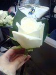 IMG1169A