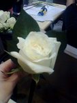 IMG1171A
