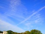 DSC03818