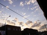 DSC03892