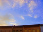 DSC04175