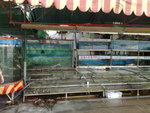 粥店隔離ge魚店