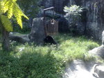 200920082247