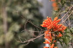 2009_02_06_IMG_1194