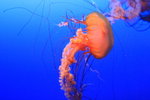 2009_02_06_IMG_1195