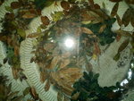 IMAG0006