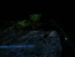 IMAG0011