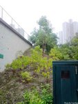 P010309_10.00[01]