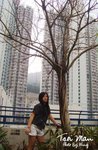 PIC_0664