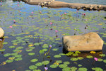 HLM_4989