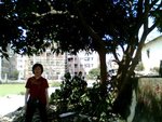 IMG0511A