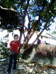 IMG0512A