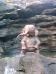 DSC08016