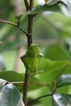 IMG_6526