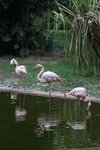 IMG_6336