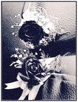 IMG0453A