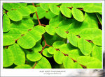 DSCF1085