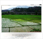 DSCF0542