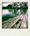 DSCF3743-pola