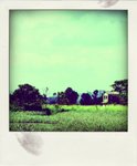 DSCF3787-pola