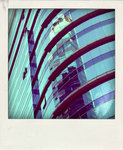 DSCF4568-pola