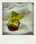 DSCF6203-pola