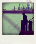 DSCF9493-pola