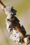 DSCF5388
