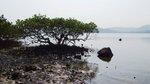 DSCF5398
