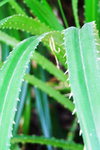 DSCF5483