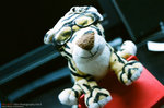 Filmvol4 (5)