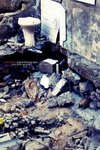 DSCF0935