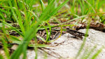 DSCF2455