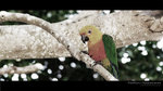 DSCF5360