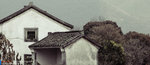 DSCF8380