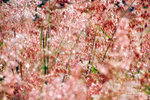 DSCF1208