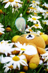 DSCF26252