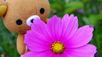 DSCF2629