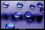 DSCF2383