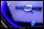 DSCF2390