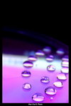 DSCF2406