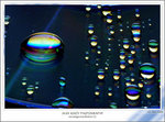 DSCF7996