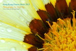 DSC_2088_copy