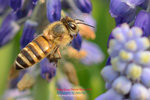 DSC_2357_copy