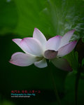 DSC_3249_revised