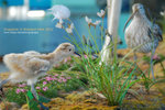 DSC_0568_copy