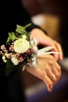 JAN_3732