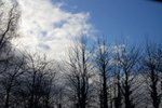 DSC_04720008